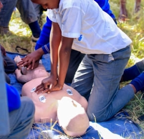 Student CPR practice Students practising CPR on manikins outdoors